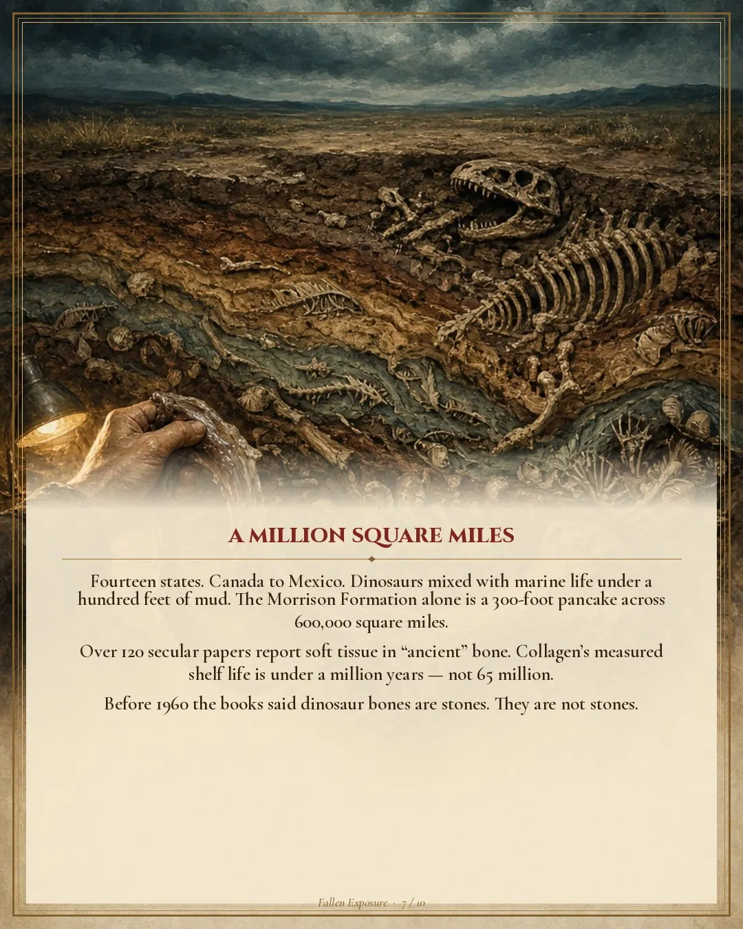 THE FLOOD IS HISTORY.: slide 7 of 11